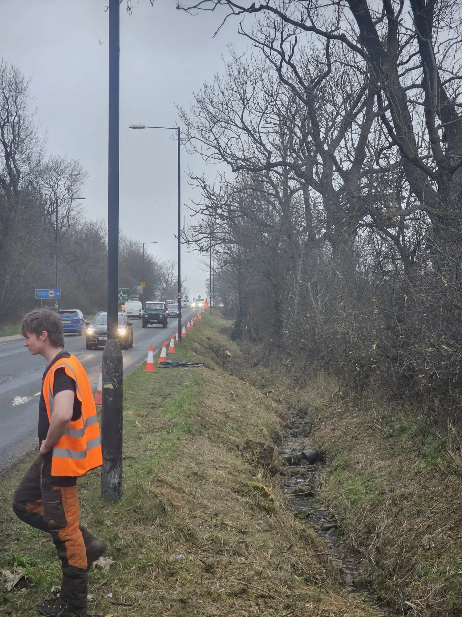 Emergency Tree removal on busy road in Leeds.