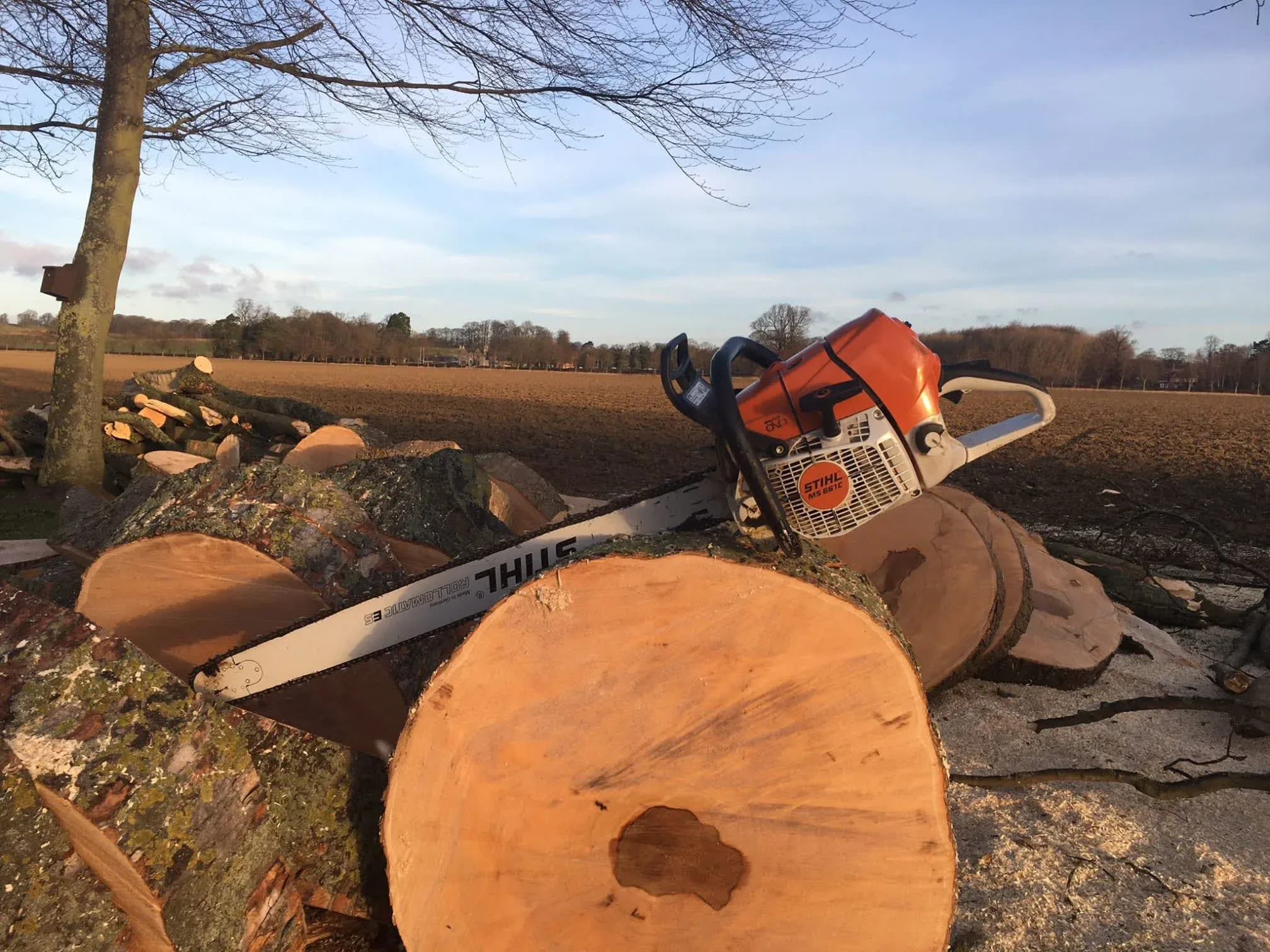 Stump Grinding in Leeds using a chainsaw