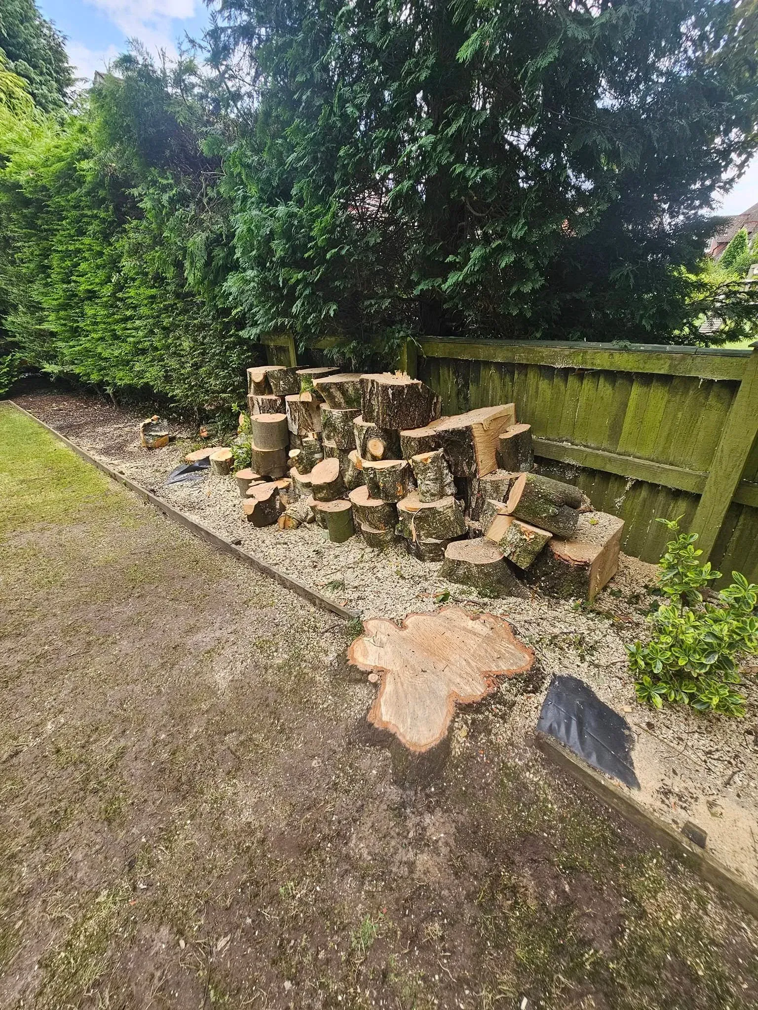 Stump Grinded in Leeds after sectiona dismantling was done on the tree