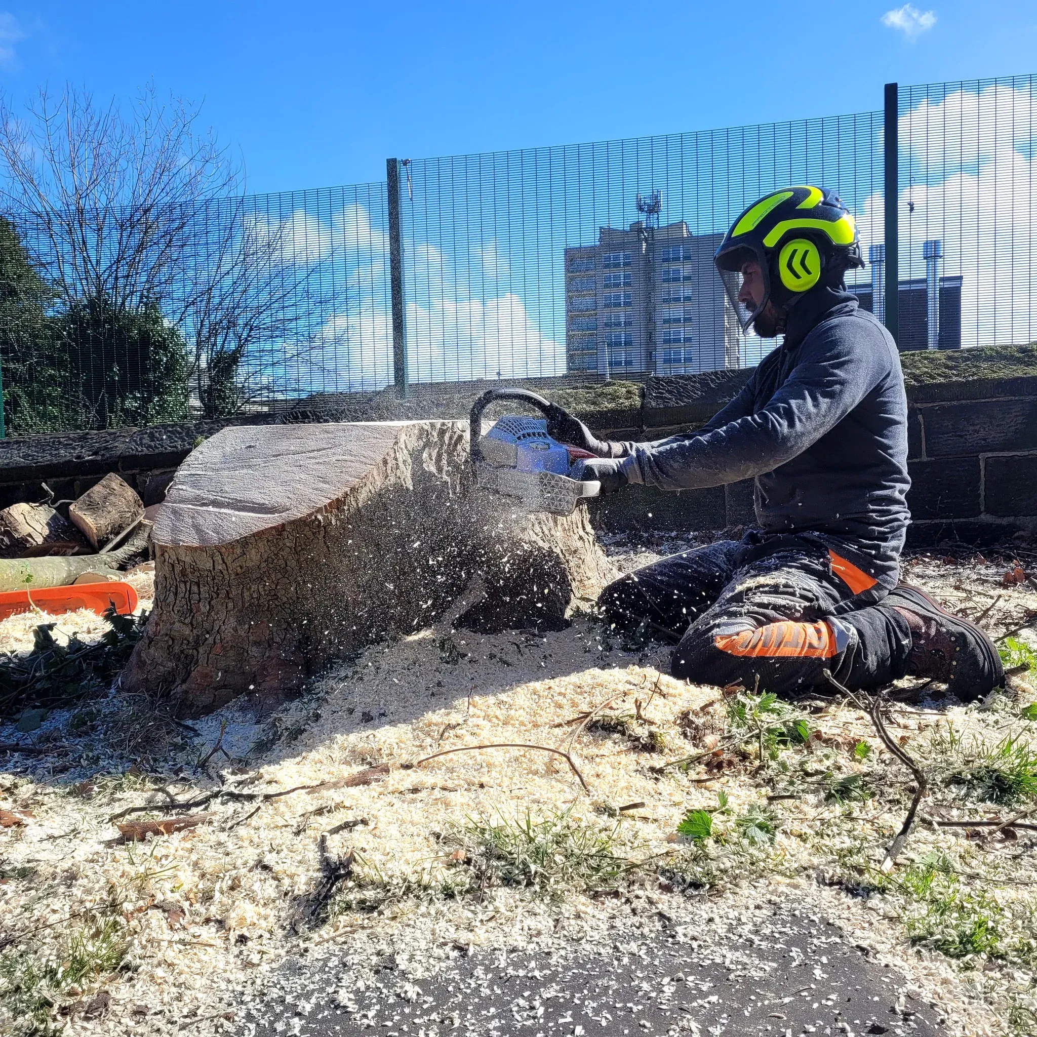 Stump Grinding in Leeds by professional tree surgeon