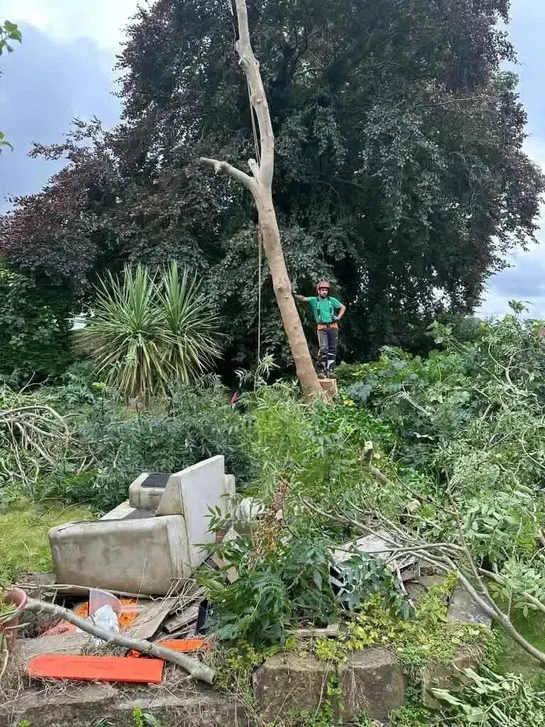 Emergency tree removal required after a storm in Cookridge, Leeds