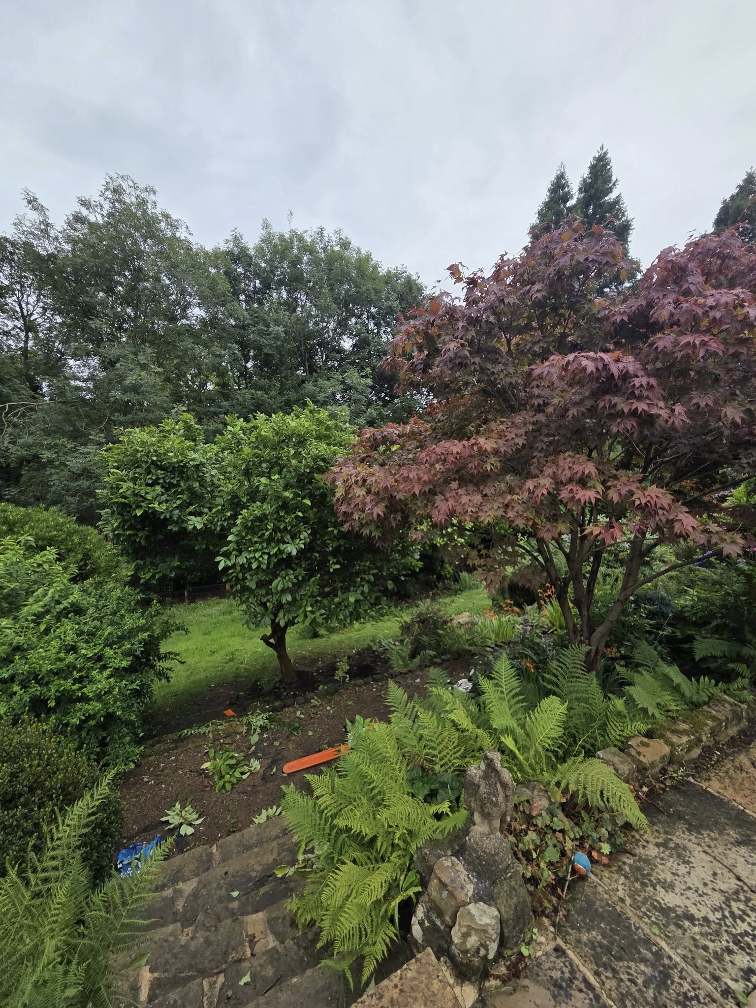 Tree surgery done in commercial property in Cross Gates, Leeds