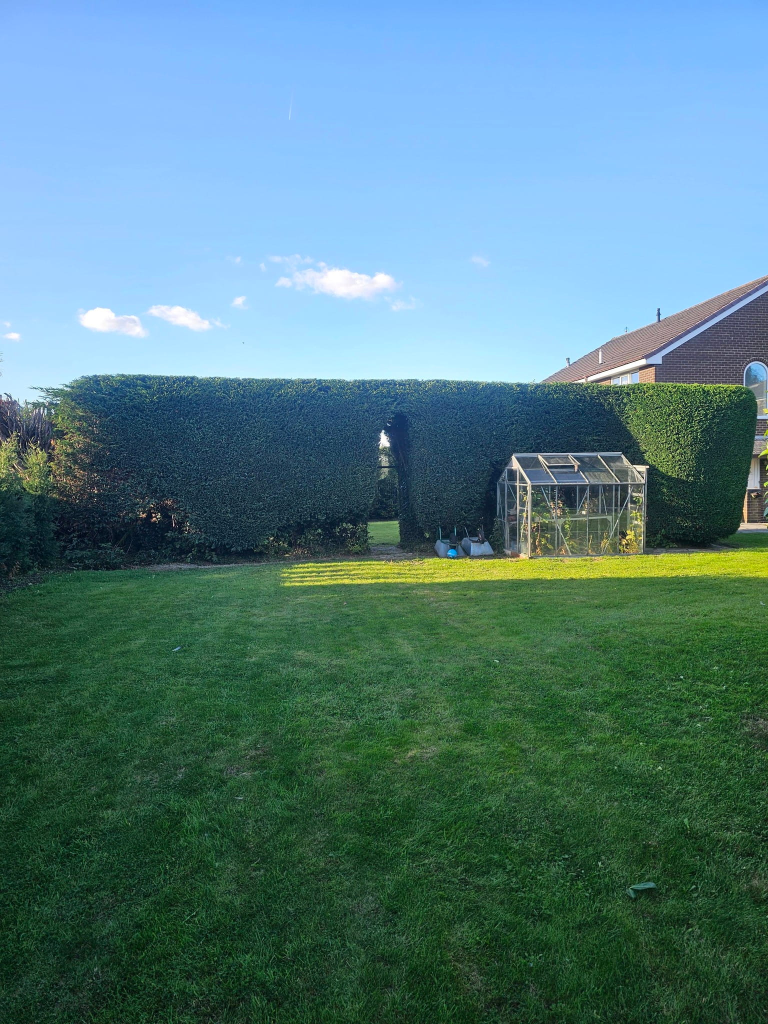 Professional hedge trimming in a Leeds residential garden.