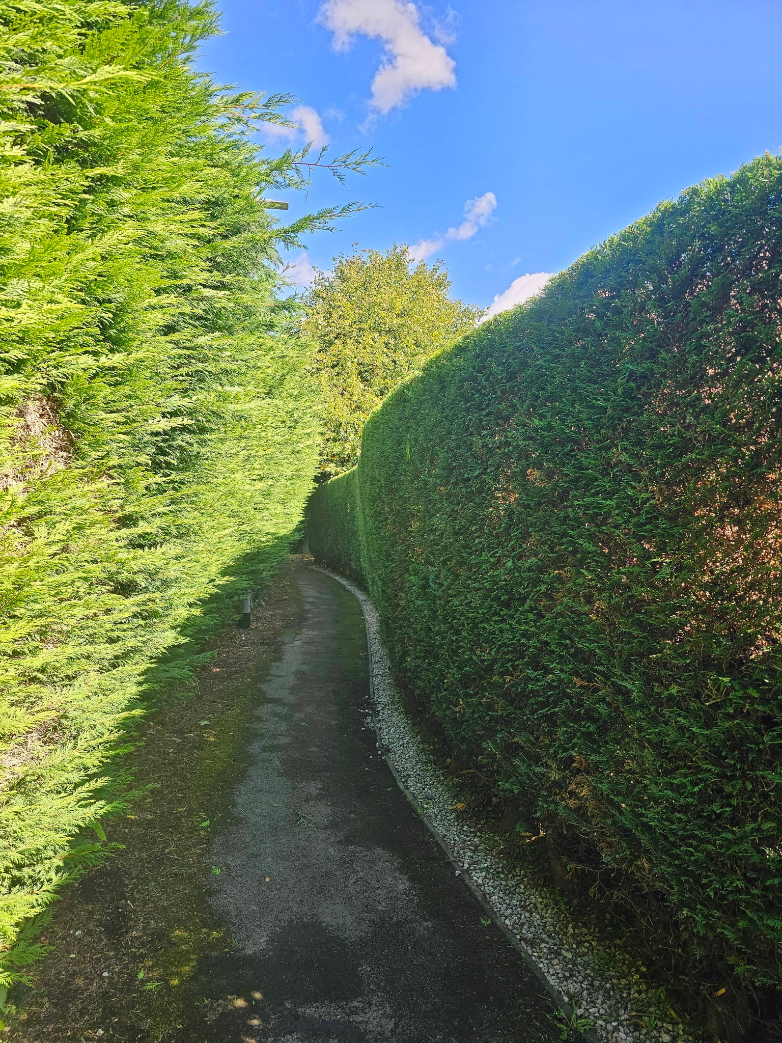 Neatly trimmed boundary hedge at a Leeds property.