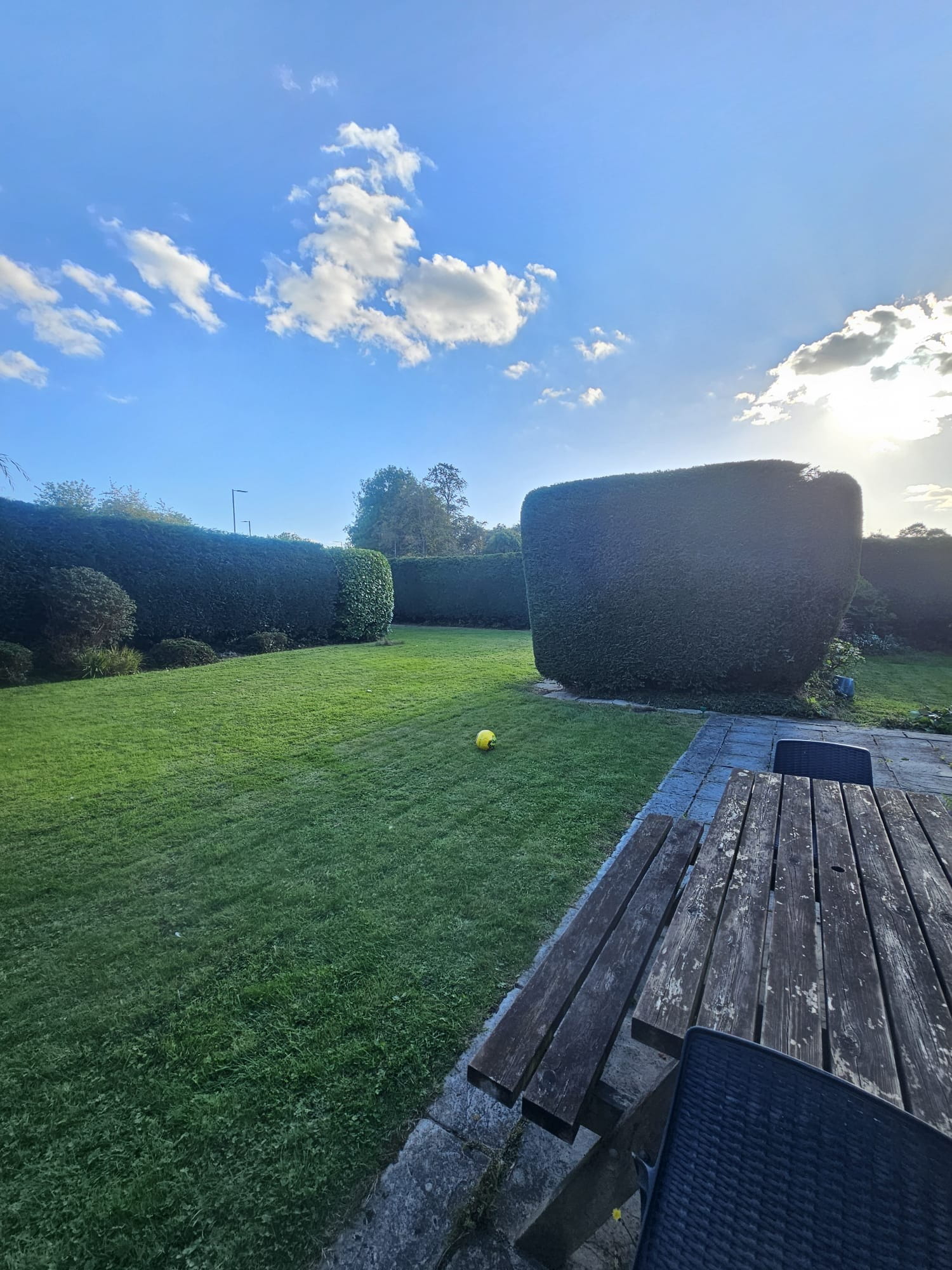 Hedge height reduction service in Leeds.