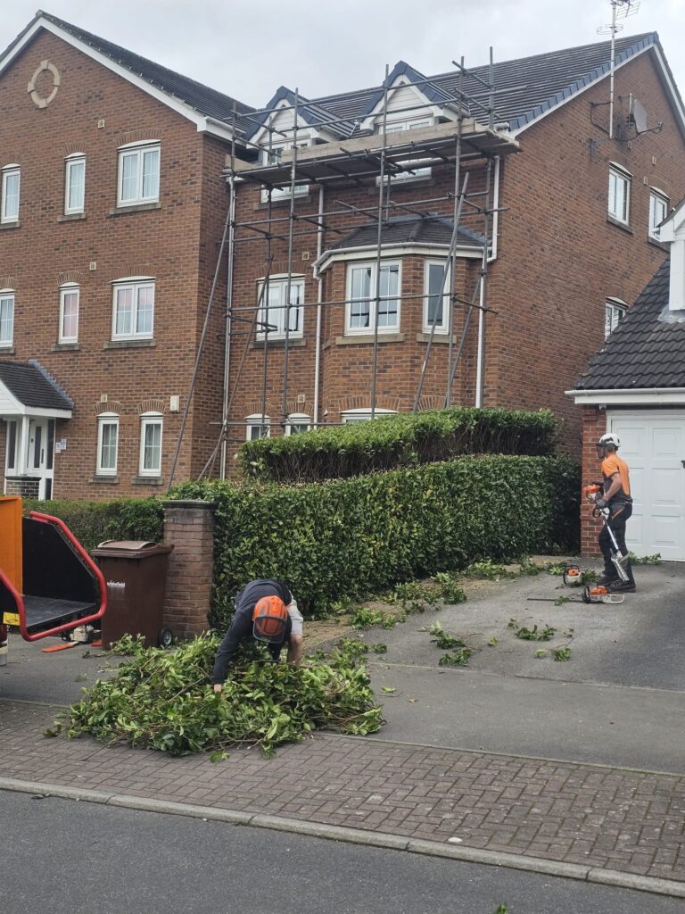 Experienced tree surgeons performing hedge cutting in Leeds