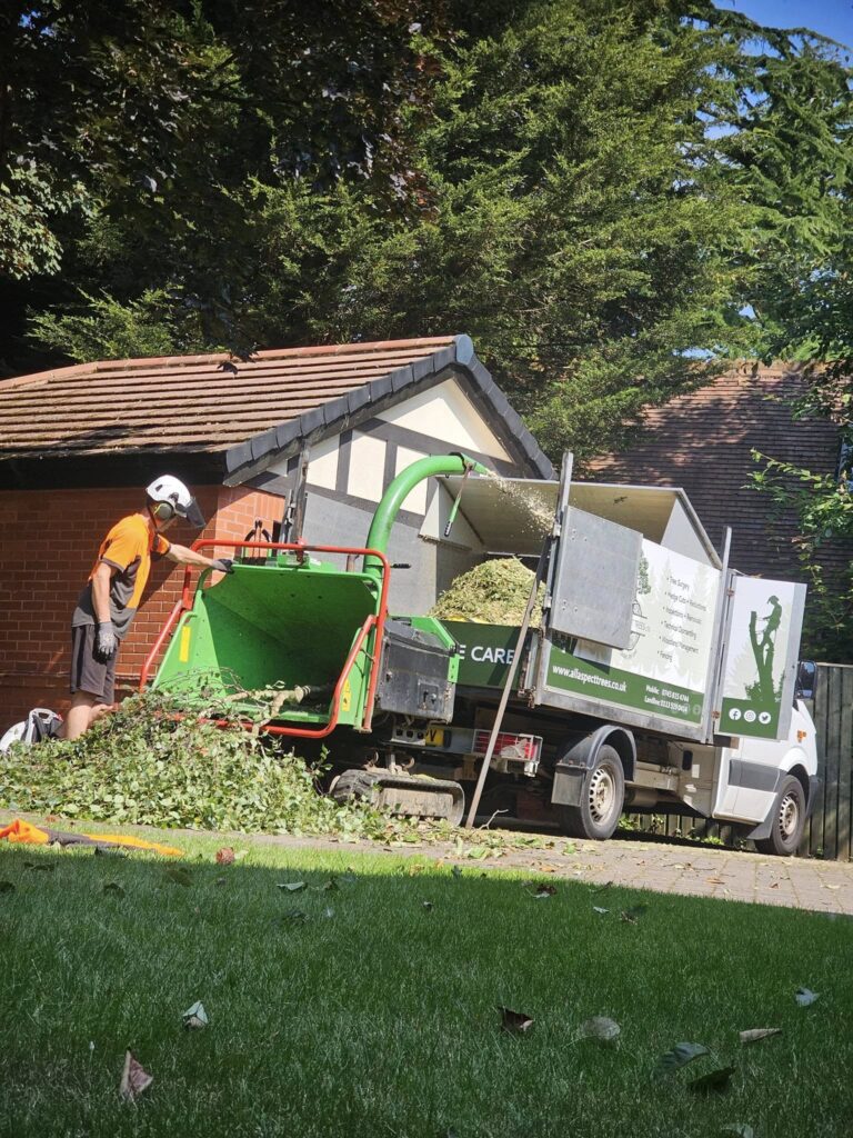 Site being cleared after crown reduction was done on a property in Roundhay, Leeds